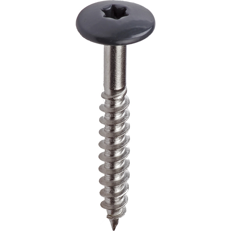 Kleurkop schroeven RVS 4,8x25mm TX20 RAL 7016 Antraciet