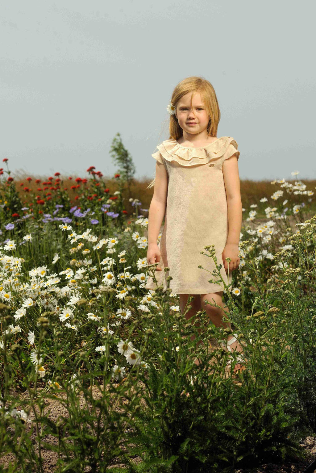 Le Chic A-lijn jurk SALUCA beige