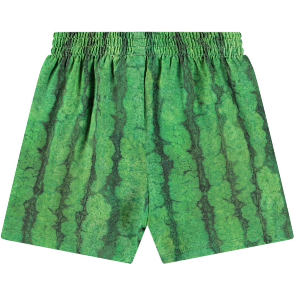 Køb Molo Melancia Suno Shorts