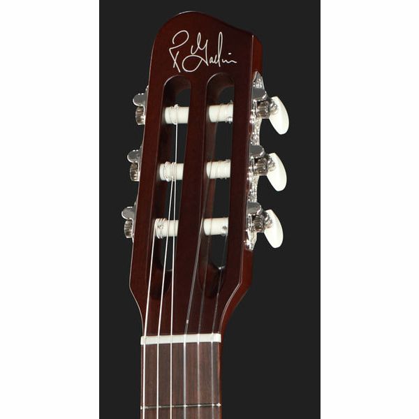 Godin Multiac Encore
