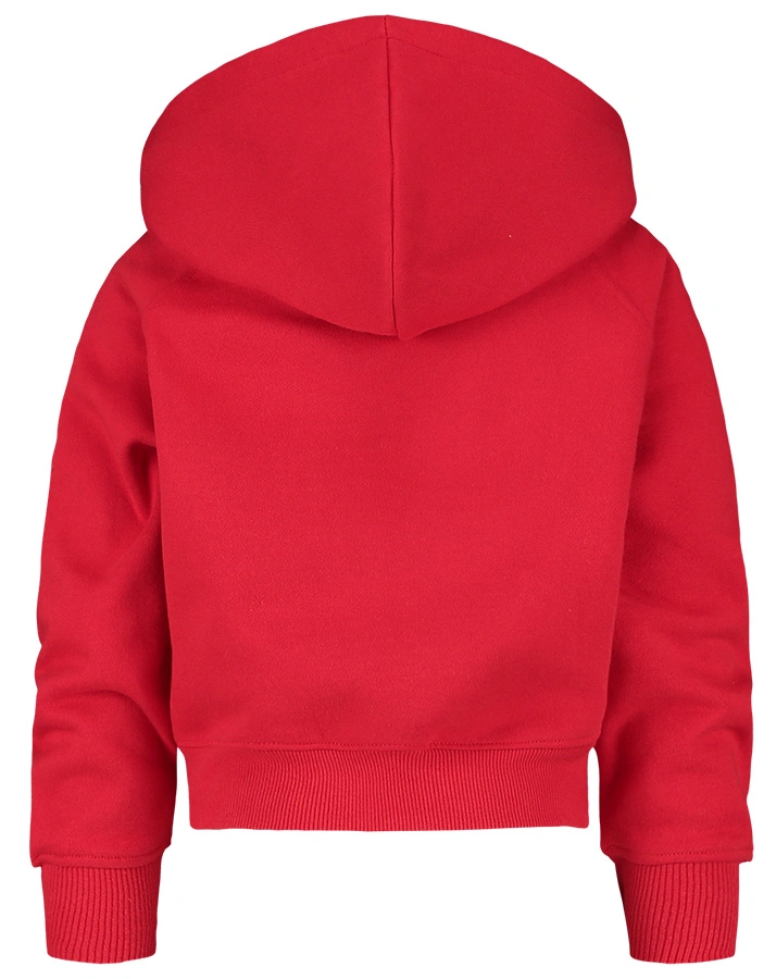 Kapuzen-Sweatshirt G-BASIC in classic red