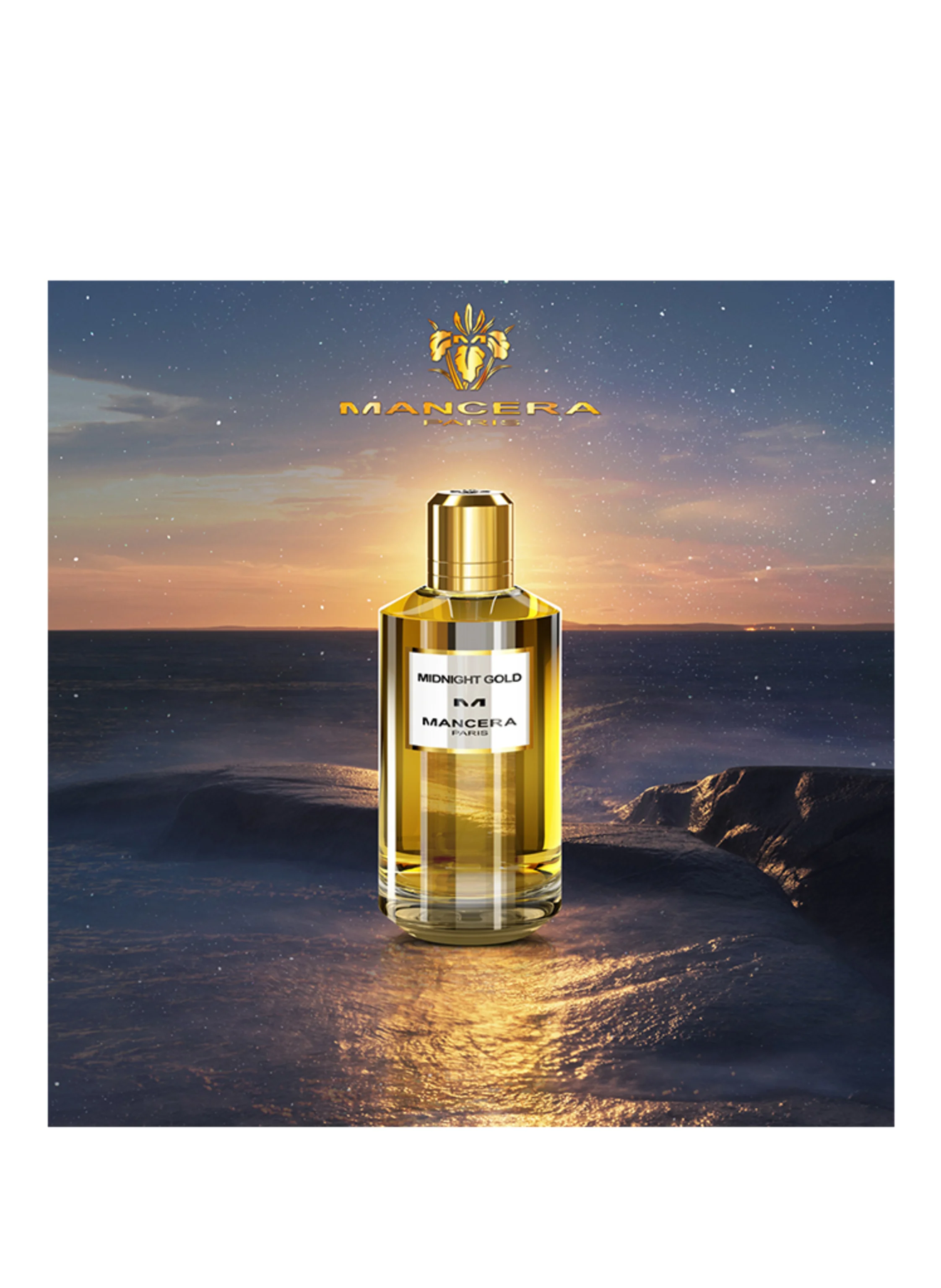 MANCERA MIDNIGHT GOLD