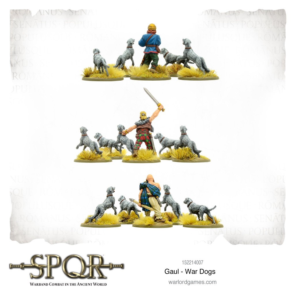 SPQR: Gaul - War Dogs