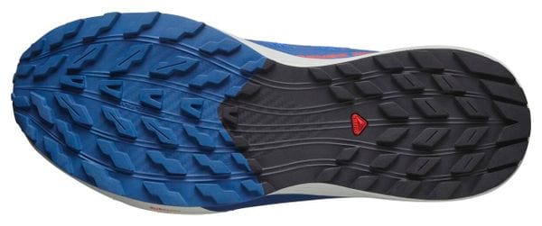Chaussures Trail Salomon Sense Ride 5 Bleu Homme
