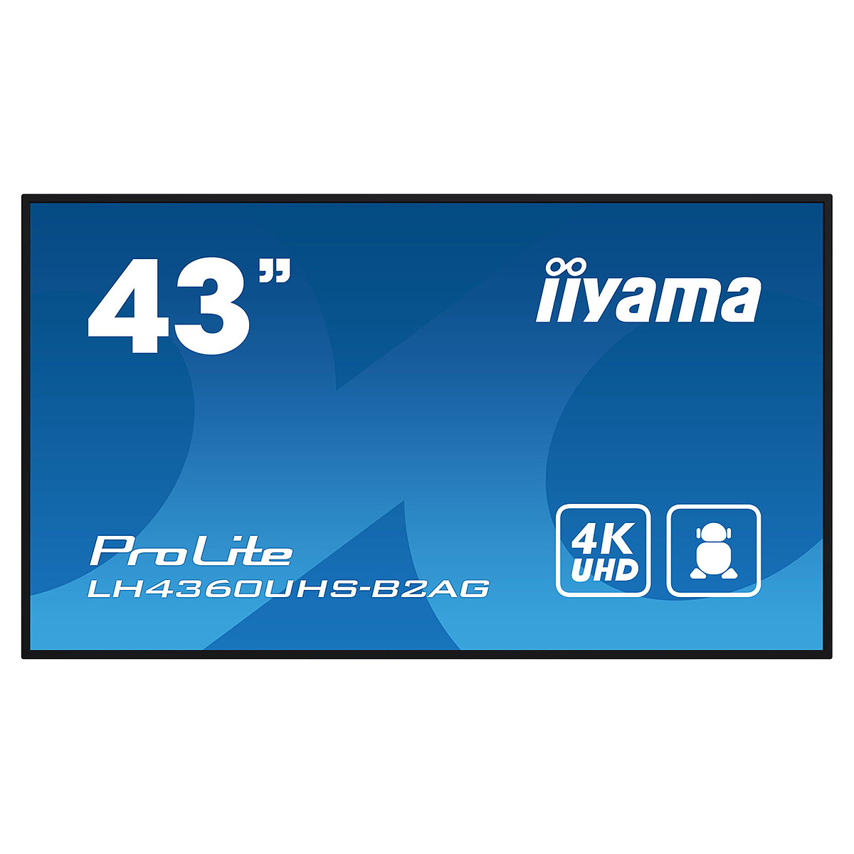 iiyama 43