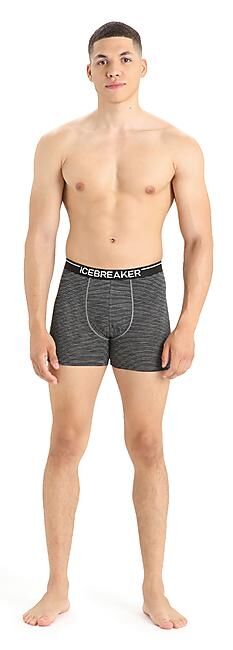 ICEBREAKER - BOXER ANATOMICA M