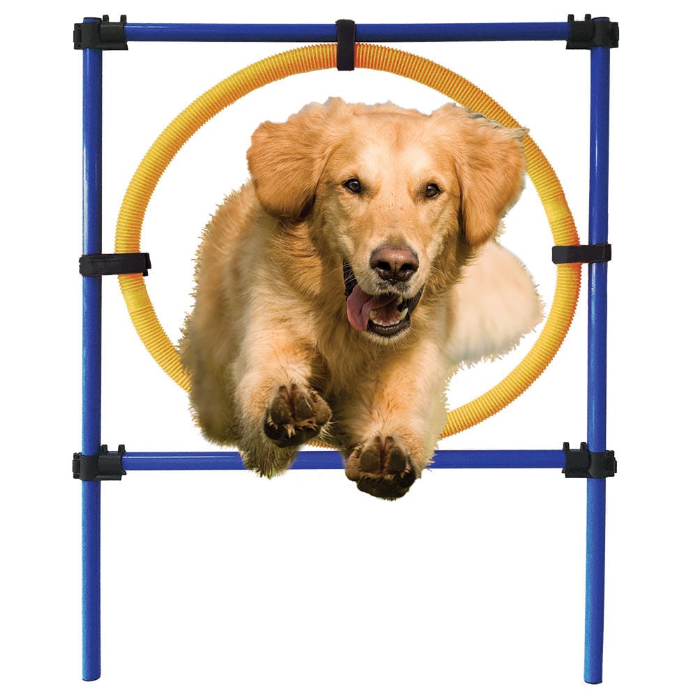 Cerceau ajustable éducatif pour chien Doggy&Co