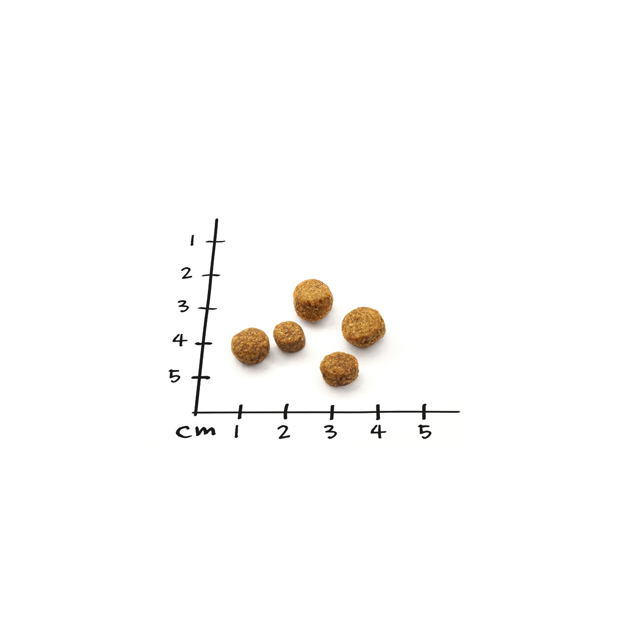 NutriQM Nutriness Sterilized 5 x 800g