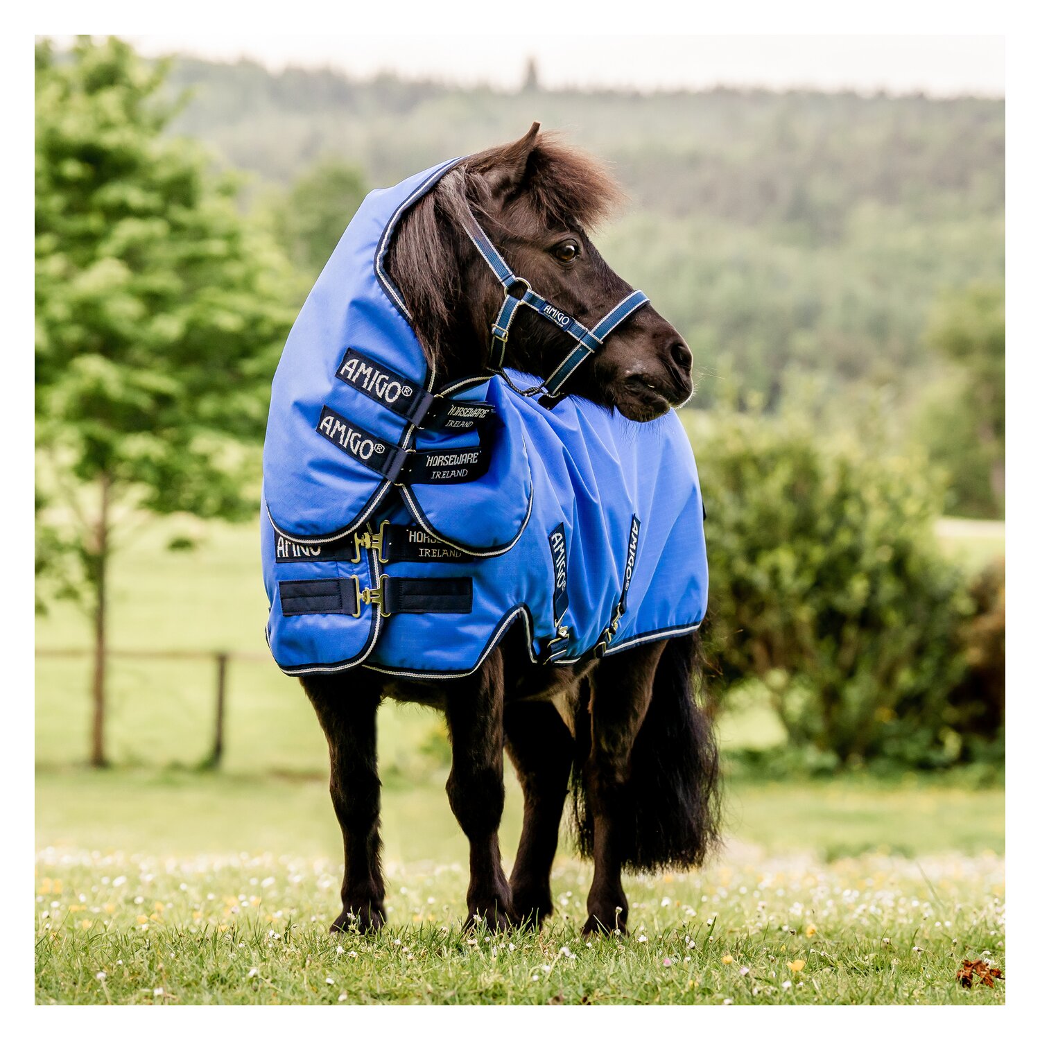 HORSEWARE Halsteil AMIGO Hero Ripstop - blue/navy