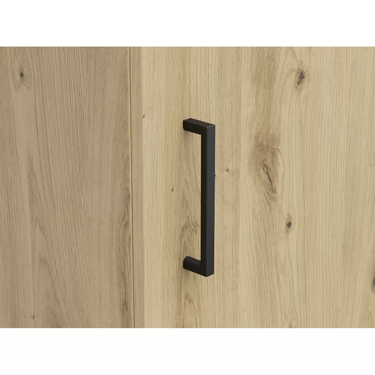 Regal 1T Cabinet Artisan Eiche