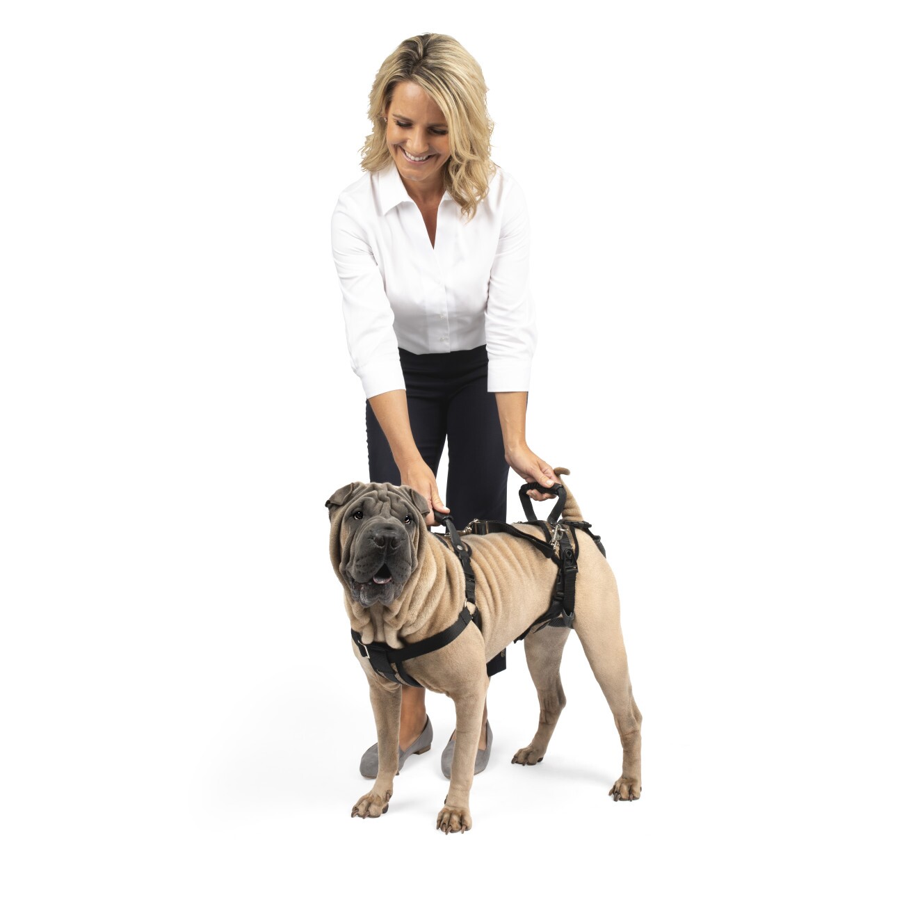 PetSafe CareLift Hebegeschirr für Hunde beige/ schwarz M