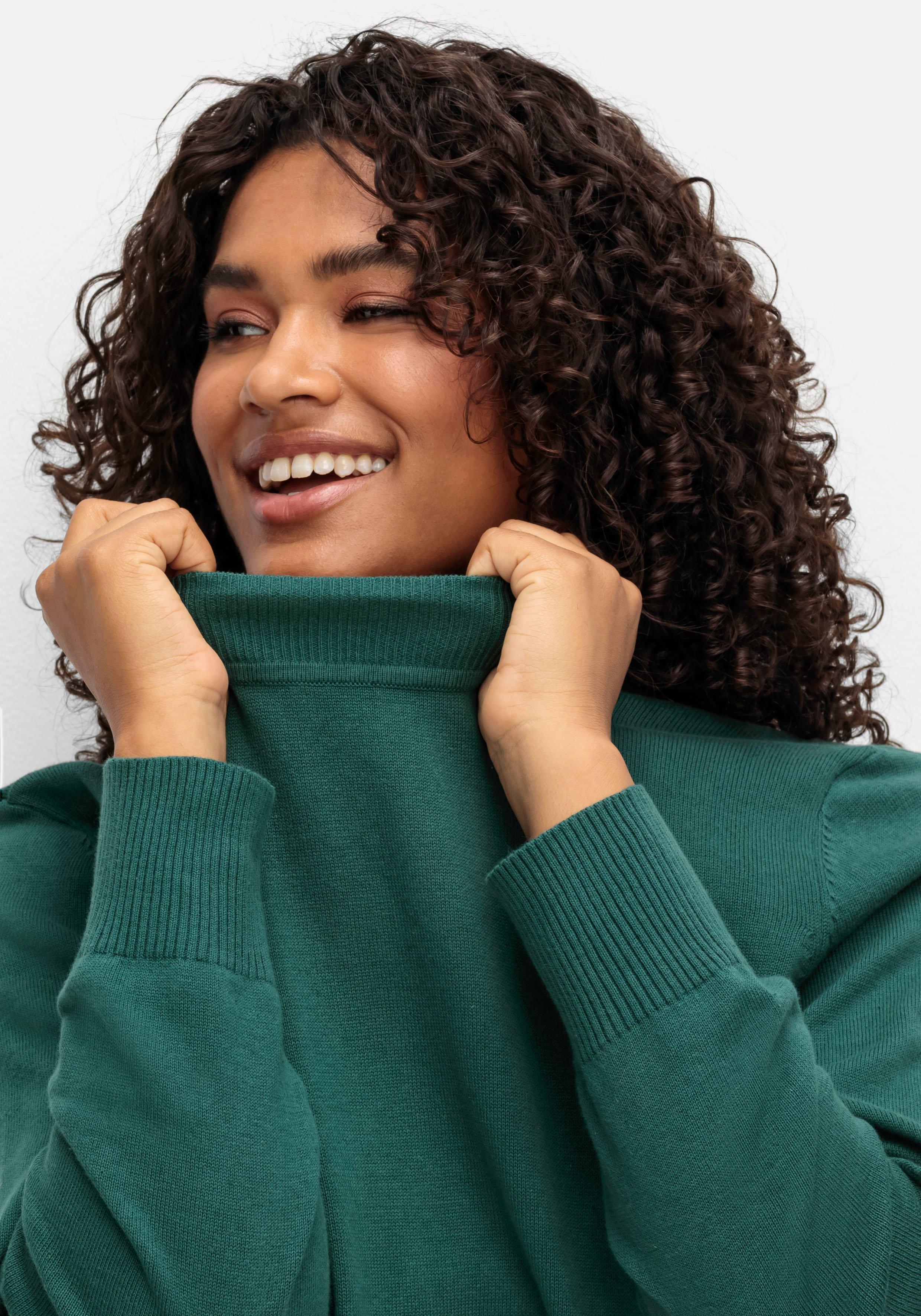 Pullover aus Feinstrick, mit Stehkragen