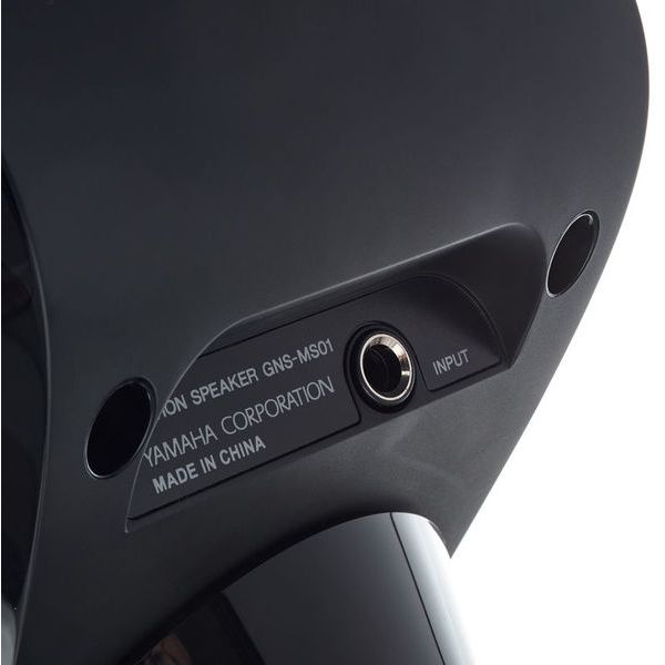 Yamaha GNSMS01
