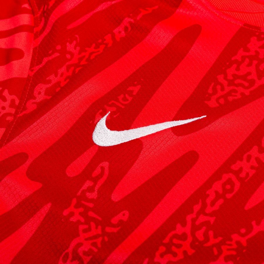 Nike Maillot de Gardien Dri-FIT Gardien V - Rose/Rouge/Blanc