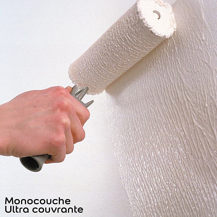 Peinture murs plafonds et boiseries Dulux Valentine 98% monocouche satin blanc 10L