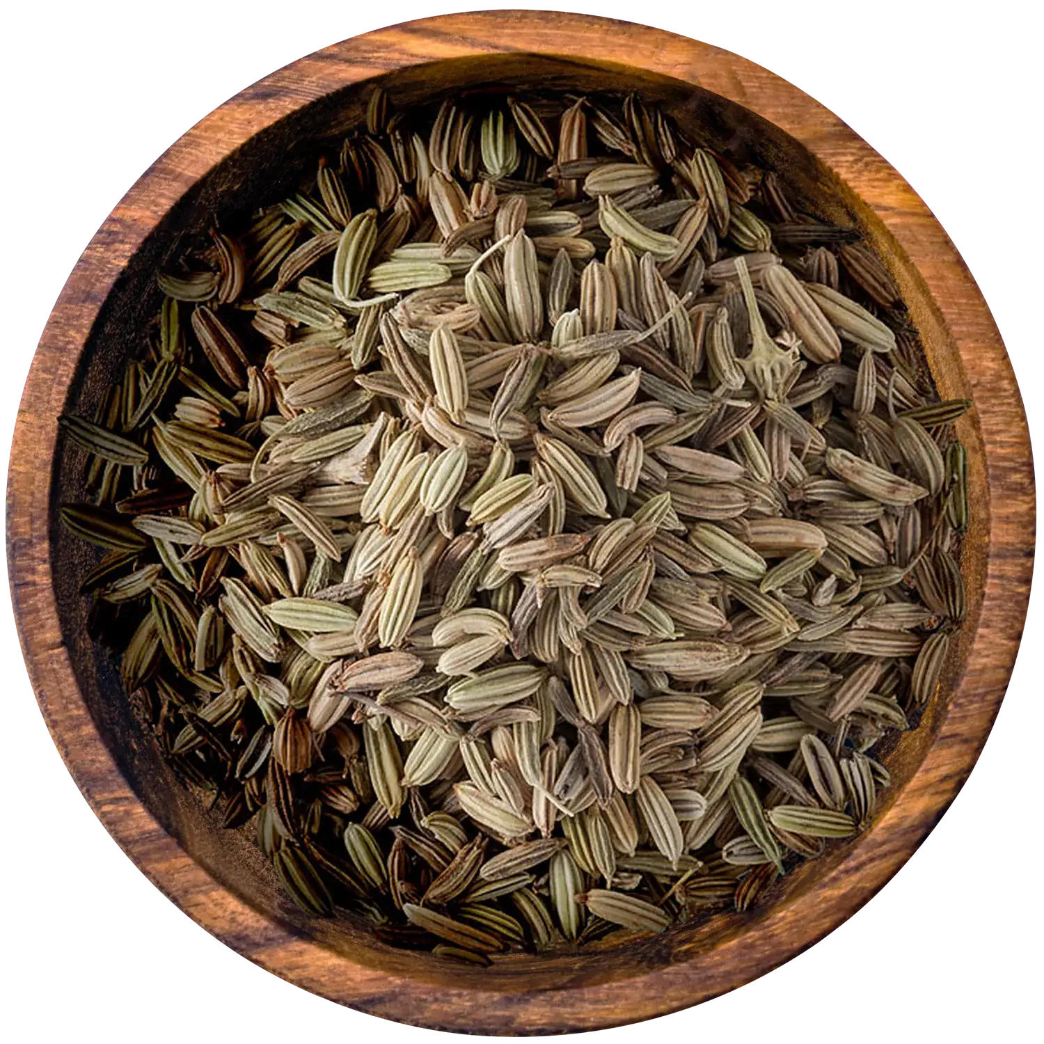 Fenchel, ganz, 3er Pack