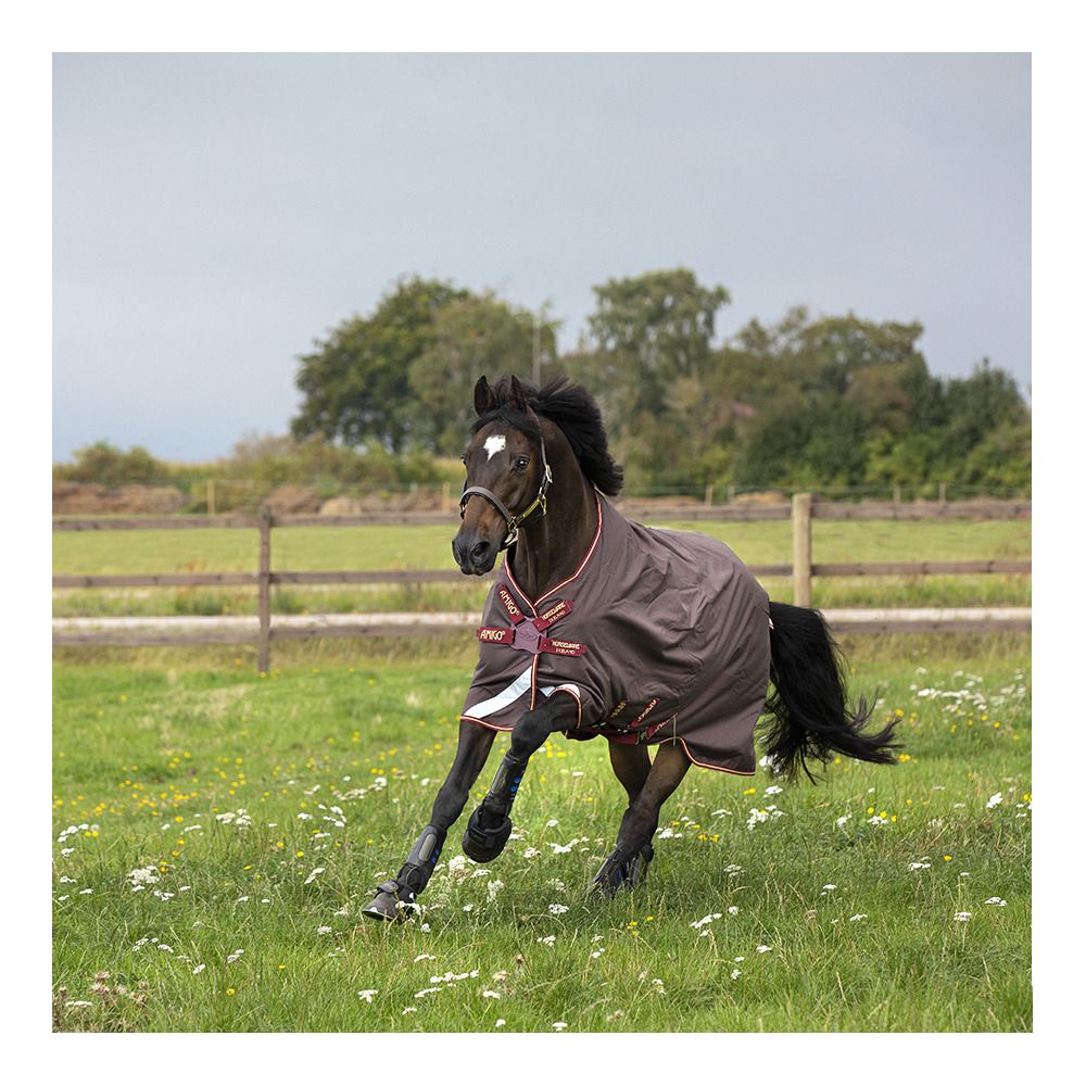 Horseware AMIGO BRAVO 12 ORIGINAL 0G - Couverture paddock brown/red/gold/red