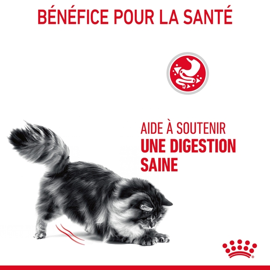 Croquettes chat Adulte santé Digestive Digestive Care 400g