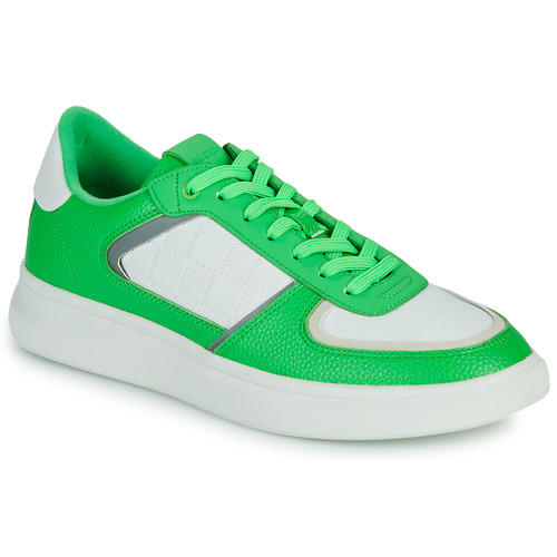 Aldo - POPWALK - Vert