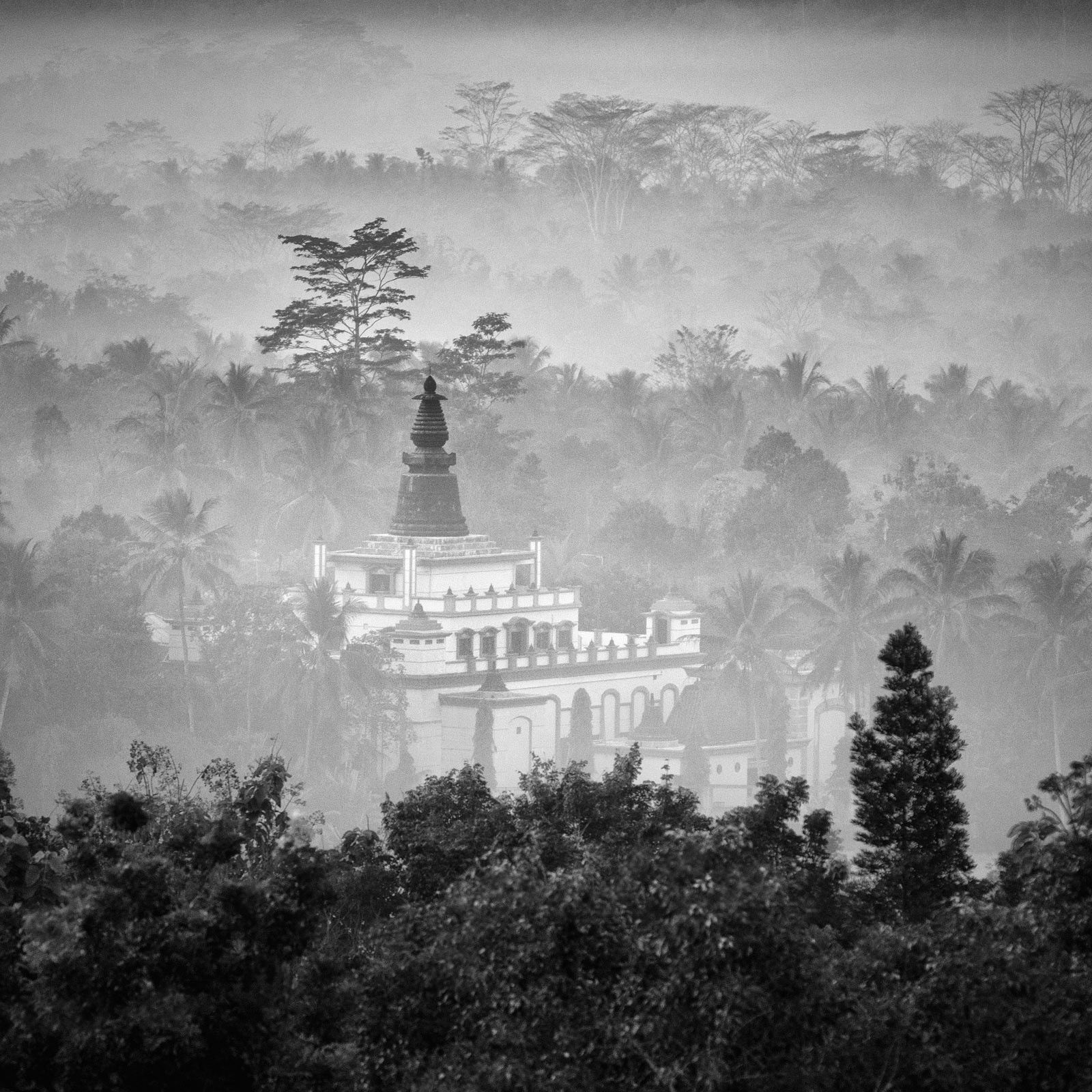 Nestle by Hengki Koentjoro - Limited Edition. Edition of: 100. Signed.