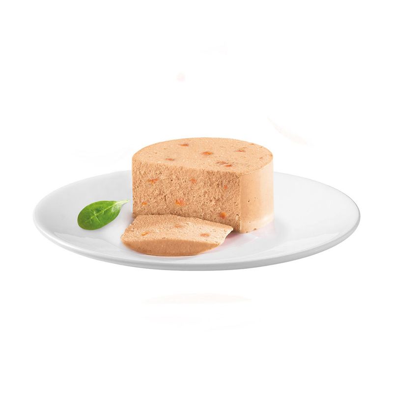 Lot 2 saveurs Gourmet Nature's Creation Mousse