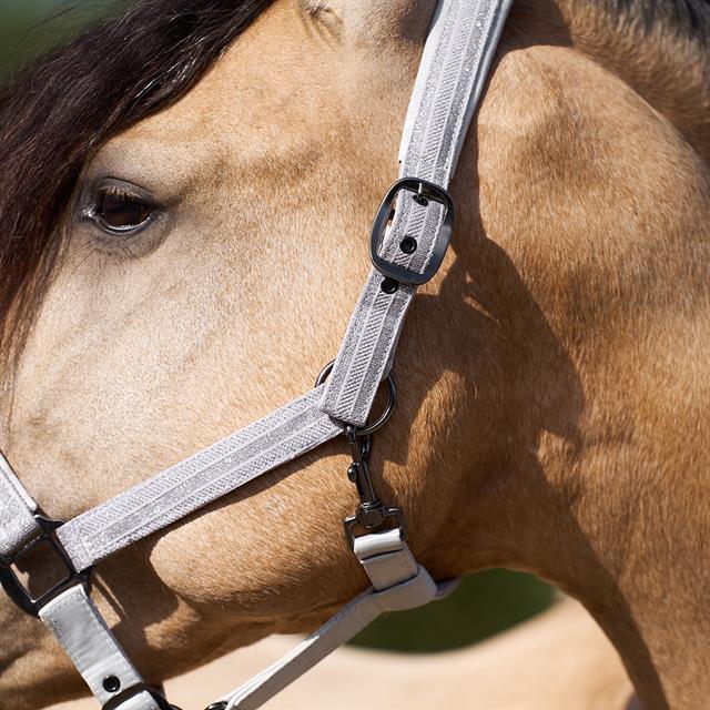 Halster Imperial Riding IRHSparkle Gebroken wit