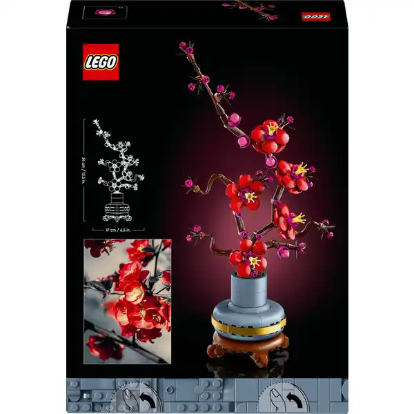 10369 Pflaumenblüte