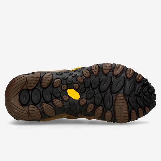 Merrell Chameleon