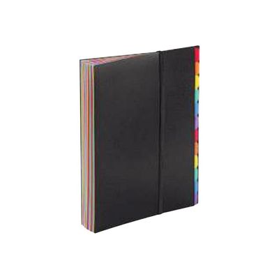 Viquel Rainbow Class - Trieur polypro 36 positions