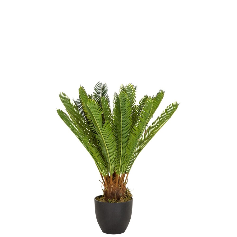 Kunstpflanze CYCAS Kunststoff, Stoff hjh OFFICE
