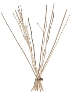 We Love The Planet Kajute Sticks 1ST