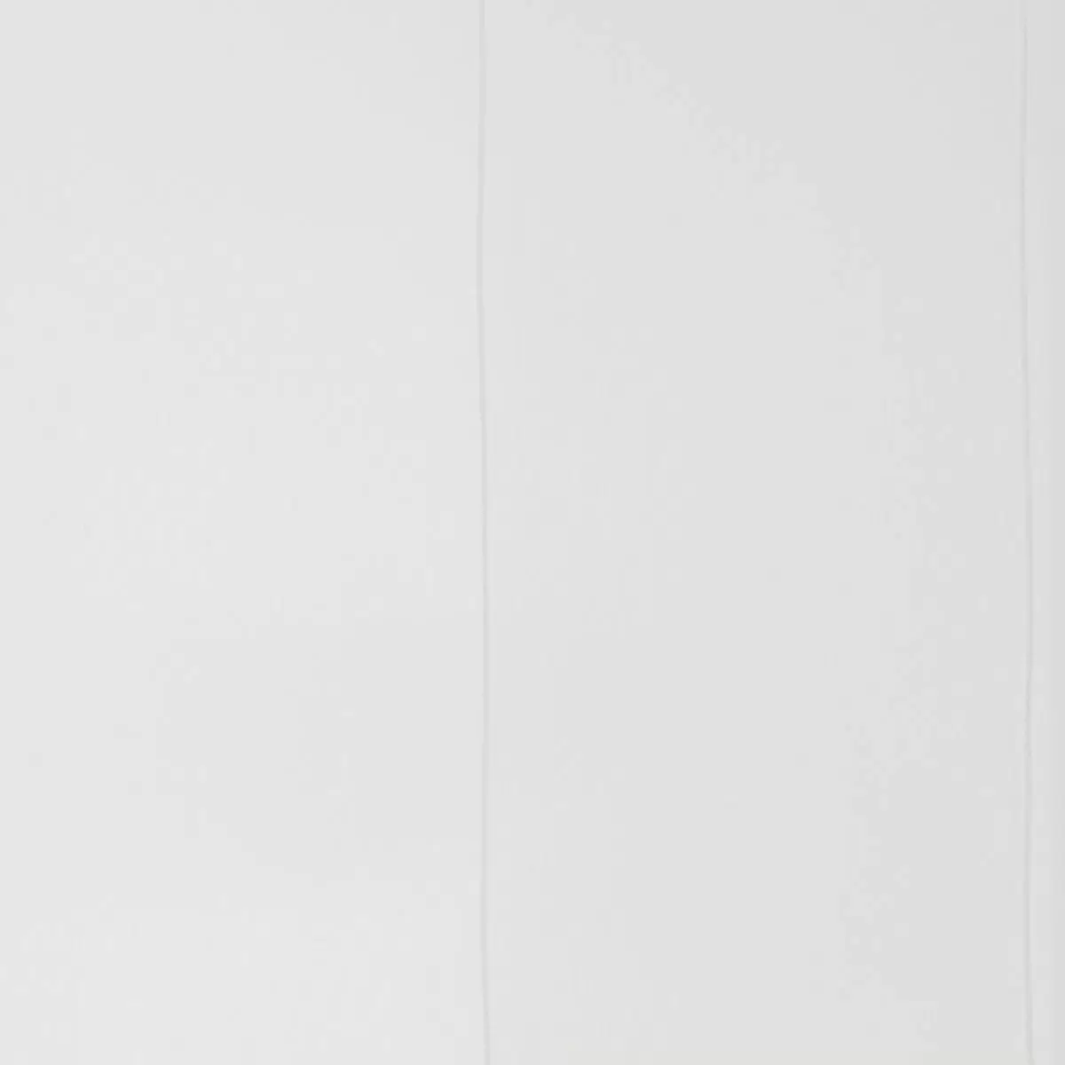 Tagvorhang Rina weiss,creme
