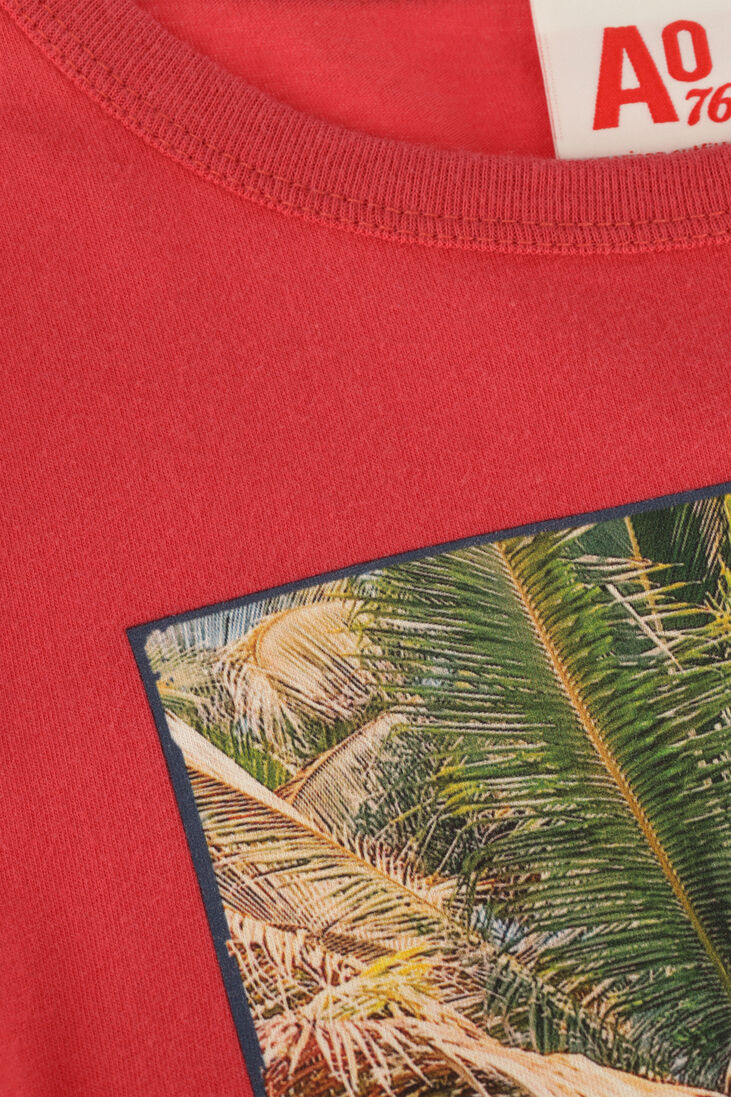 AO76 rode ao76 t-shirt mat t-shirt boards