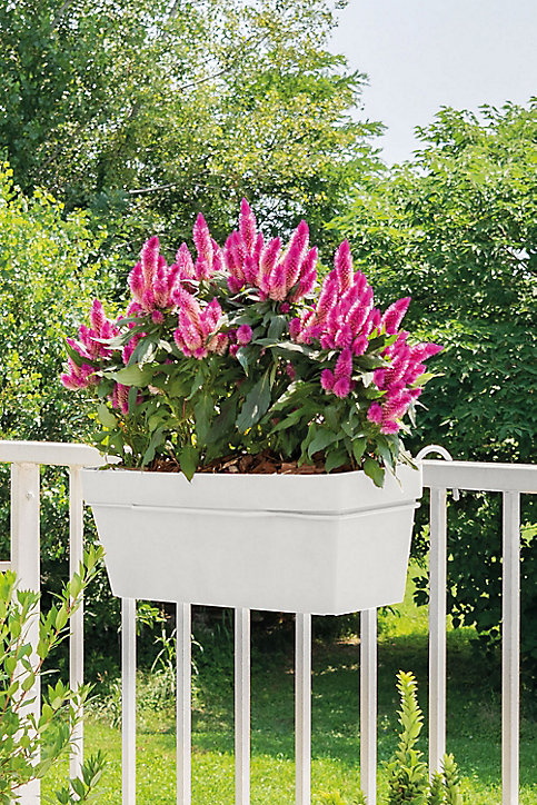 Jardinière à réserve d'eau plastique Deroma Like blanc 49 x 28 x h.17 cm