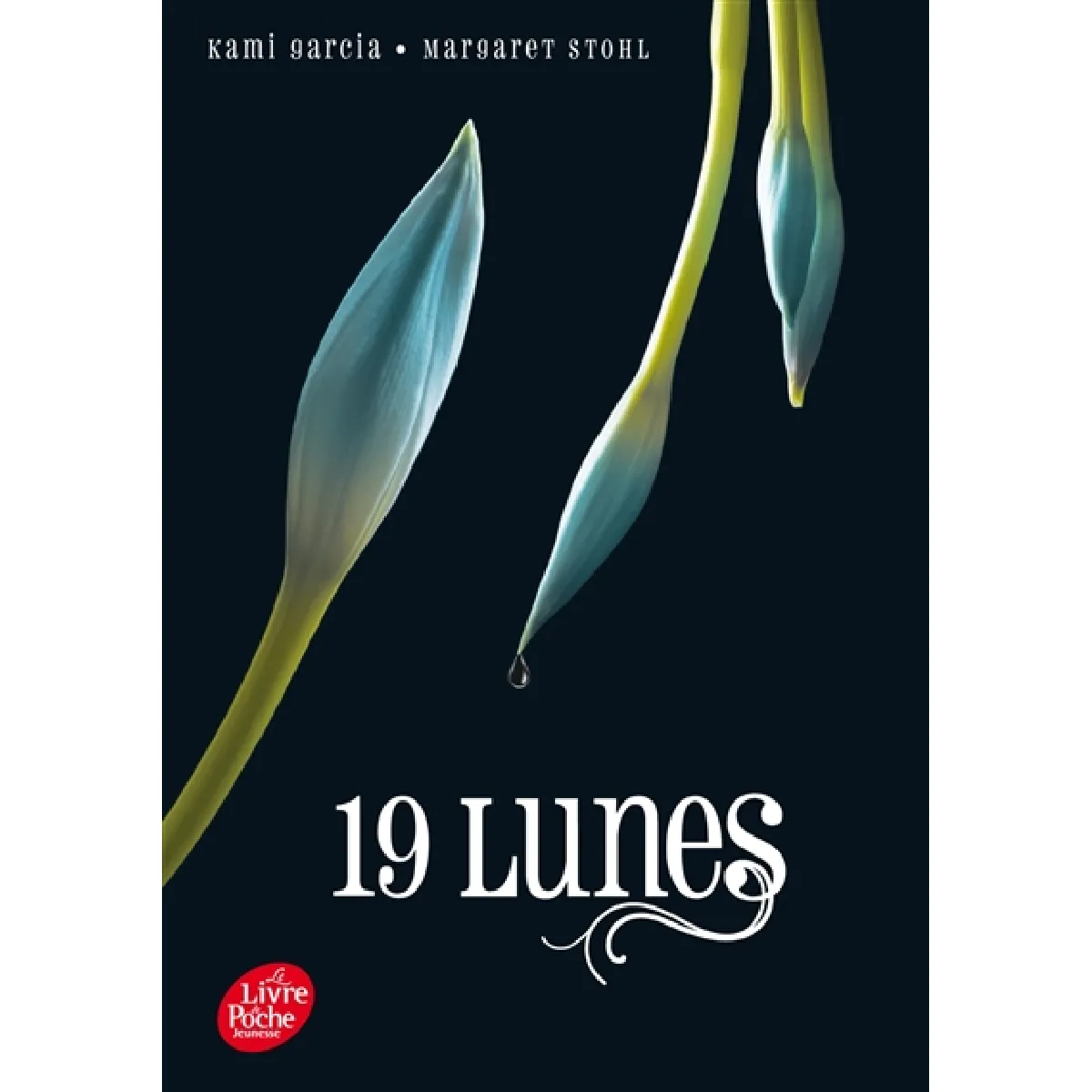 19 lunes · Occasion