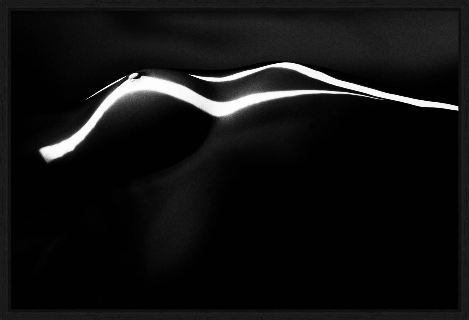 Nude by Alexander Straulino | Trunk Archive - Limited Edition. Edition of: 150. Studio Stamp.