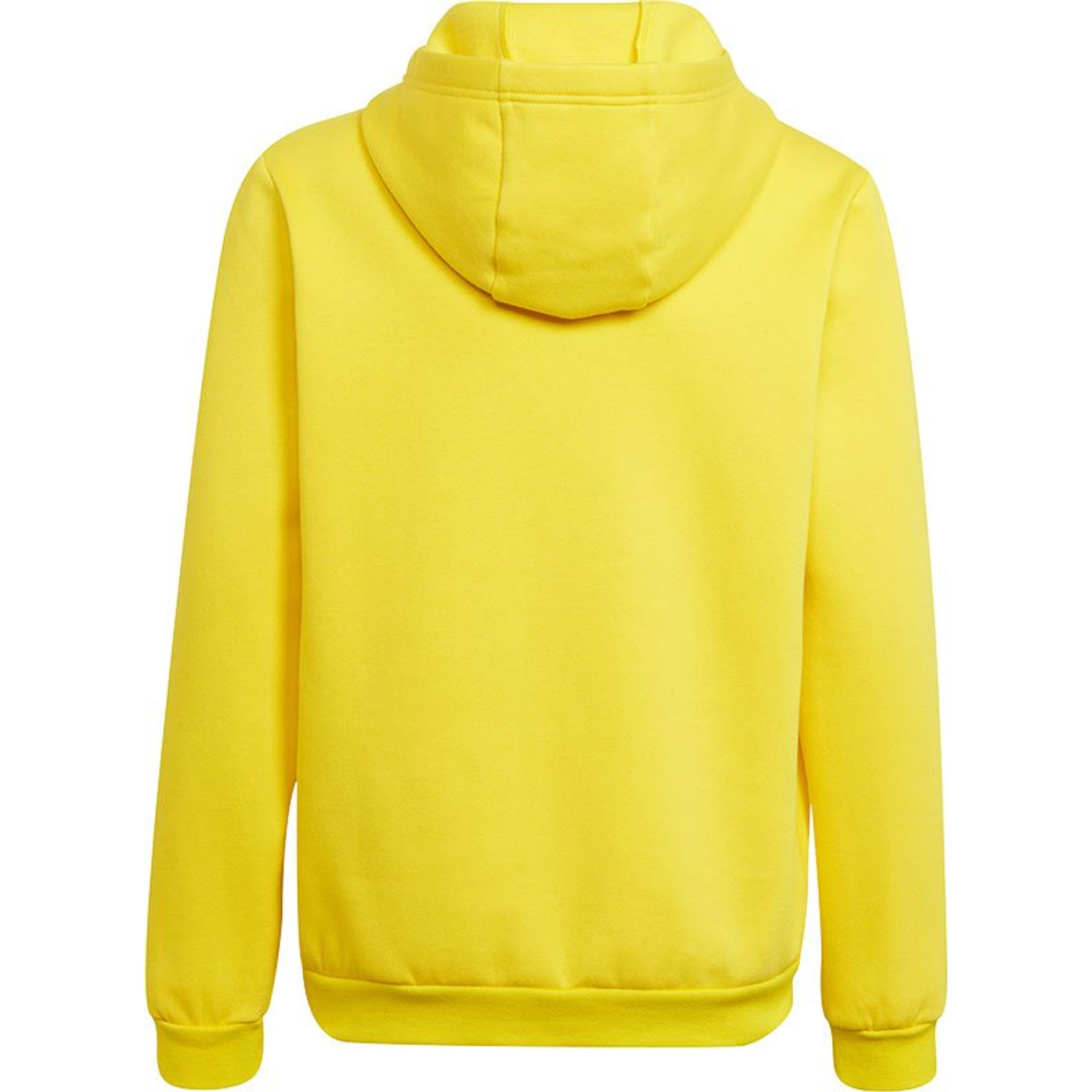adidas Entrada 22 Hooded Sweat Trainingspak Kids