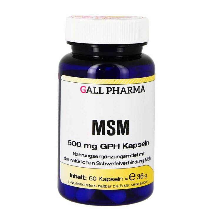 MSM 500 mg GPH Kapseln, 60 St