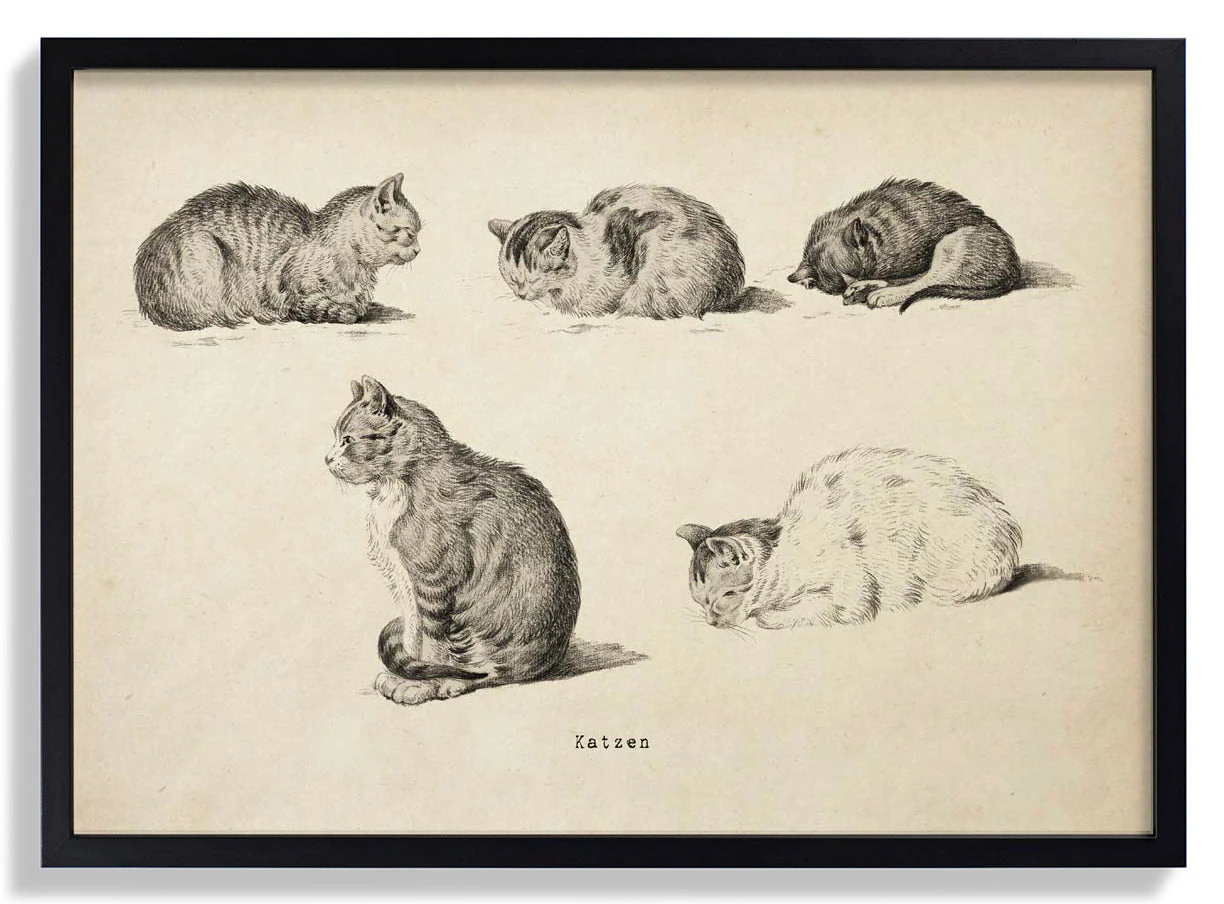 Antike Katzen
