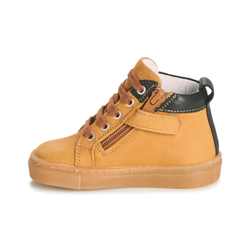 GBB - BENOIT - Jaune