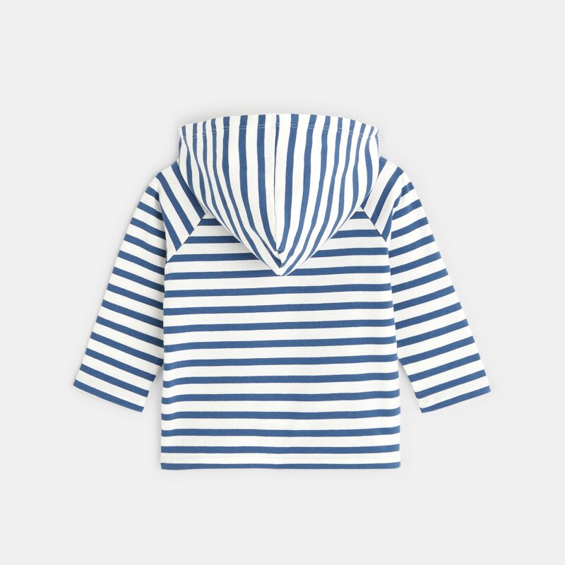 Pull léger rayé à capuche bleu bébé garçon Bleu