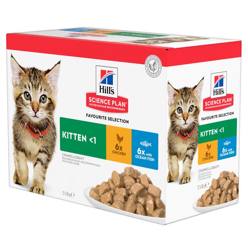 Hill's Feline Kitten