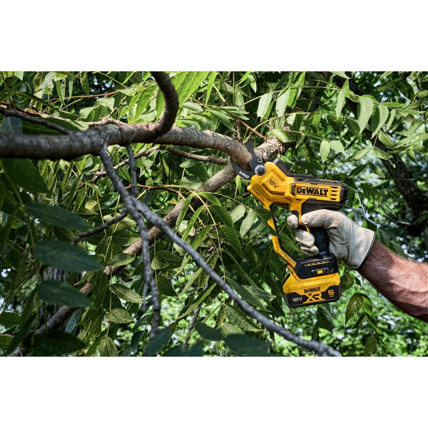 DeWALT DCMPP568N Accu snoeischaar 18V XR Basic Body