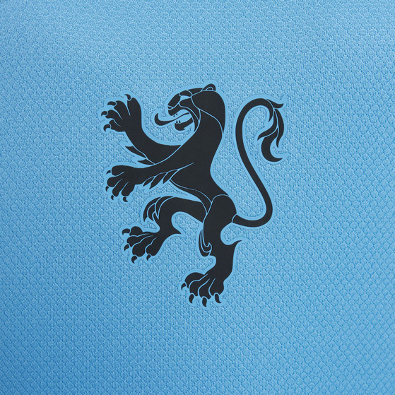 Nike Nederland Uit Shirt OranjeLeeuwinnen Kids