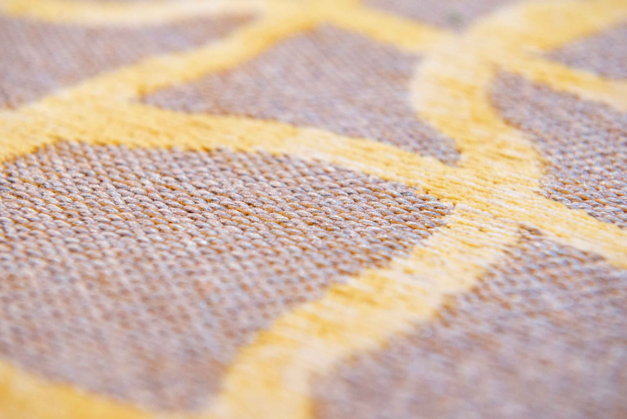DEDALO9205YELLOW SCARAB