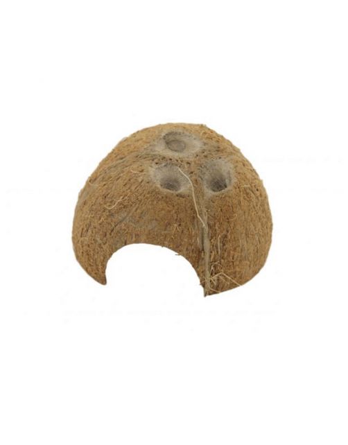 Ceramicnature Cocosnoot Schuilplaats - Aquarium - Ornament - Bruin