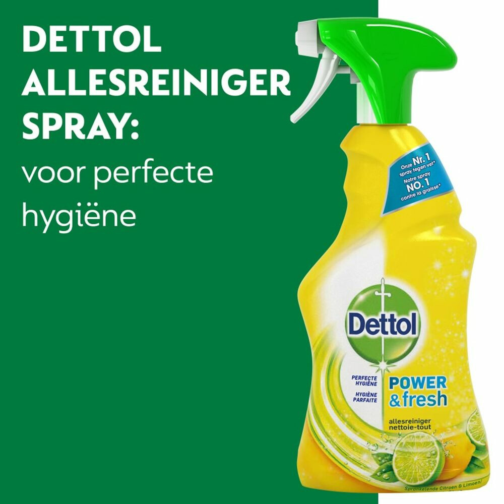 Dettol Power & Fresh Spray Citroen & Limoen Allesreiniger 500 ml