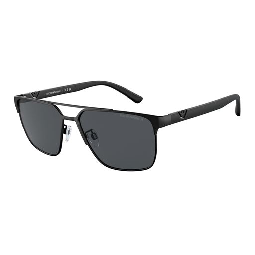 Armani Emporio 0EA2134 Solbriller, Sort