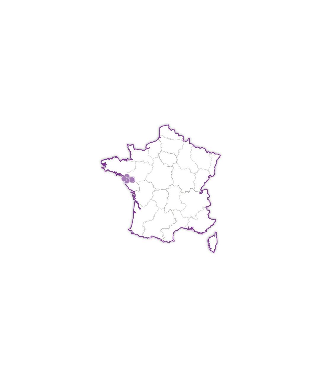 SMARTBOX - Bien-être à Nantes - Coffret Cadeau Bien-être