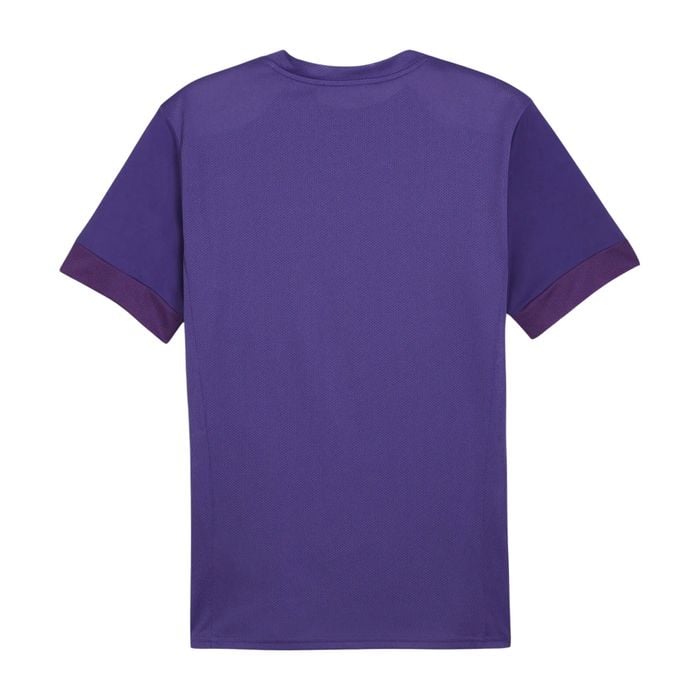 Puma TeamGOAL Matchday Shirt Heren